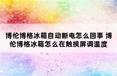 博伦博格冰箱自动断电怎么回事 博伦博格冰箱怎么在触摸屏调温度